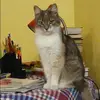 Отзыв от Олеся Никитина